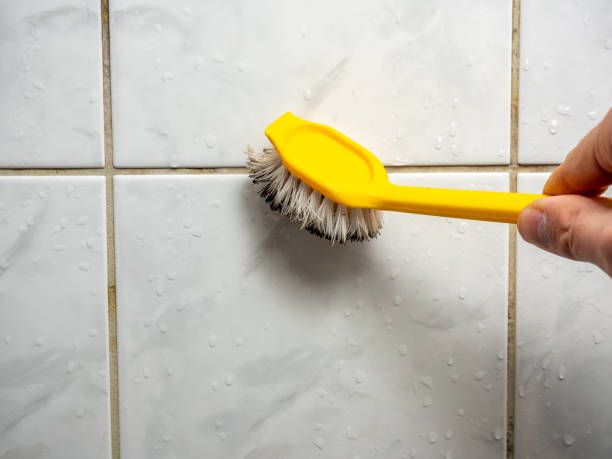 Millstadt, IL Mold Removal Company