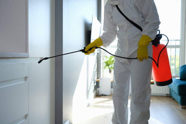 Best Professional Mold Removal  in Mlstadt, IL